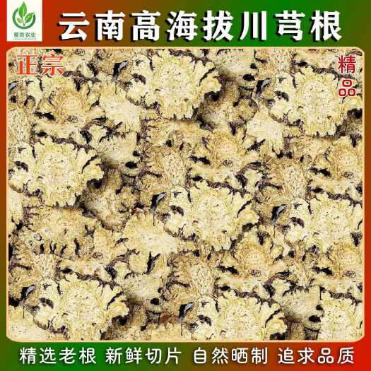 腾冲市正宗川芎片丹参葛根川芎八珍汤四物汤地黄当归白芍无硫可磨川穹粉