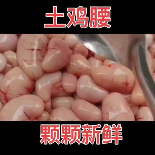 泗县鸡腰子鸡腰鸡春土鸡腰