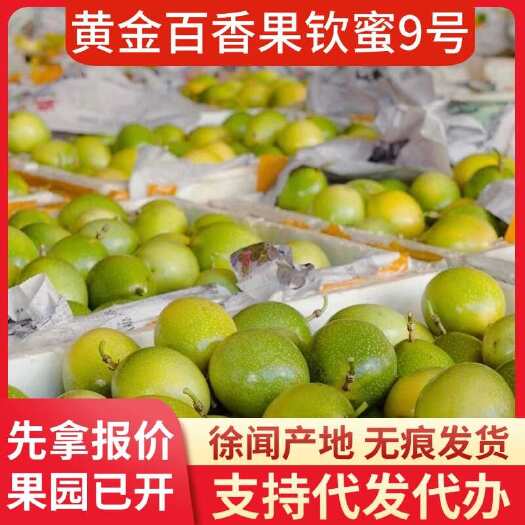 徐闻县徐闻钦蜜 9 号百香果专线代发产地供