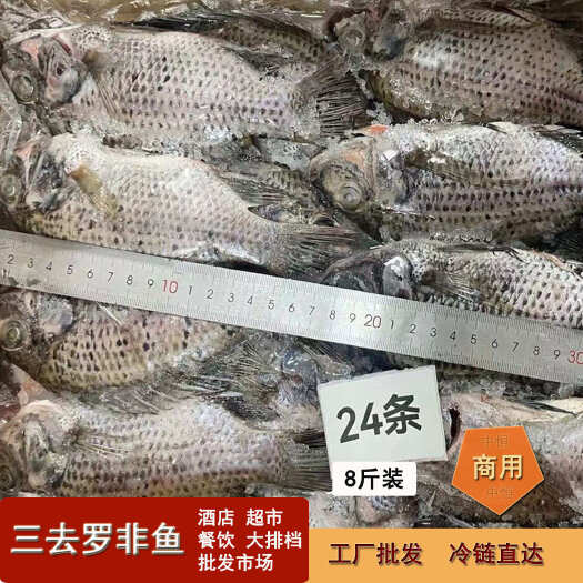 三去罗非鱼批发24条8斤装新鲜加工水产冻品餐饮大排档酒店商用