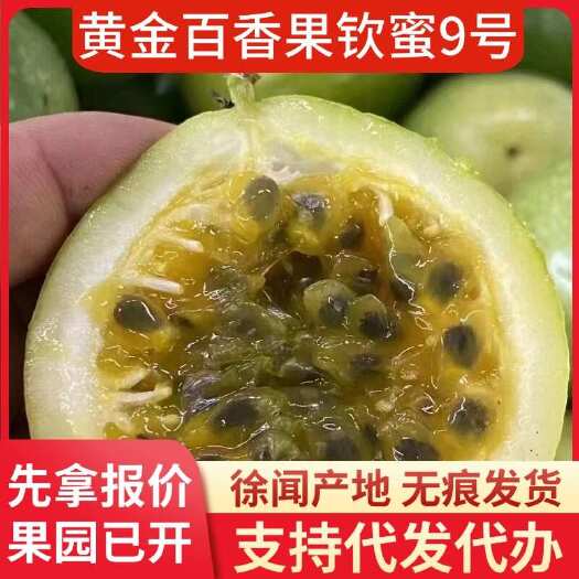 徐闻县广东湛江徐闻钦蜜 9 号百香果专线代发