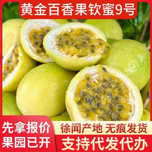 徐闻县广东直供钦蜜 9 号百香果 5 斤代办批发