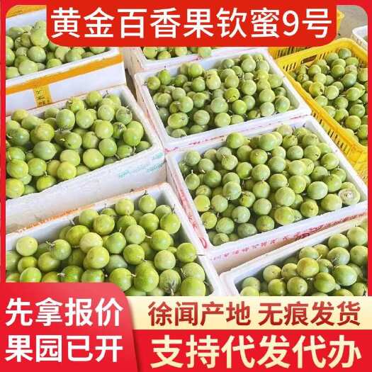 徐闻县批发代发优质钦蜜 9 号黄金百香果 1 斤代发