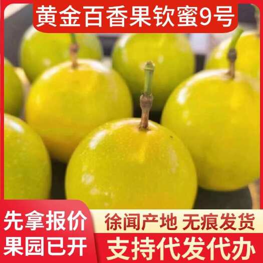 徐闻县徐闻钦蜜 9 号果产地直供物流代发服务