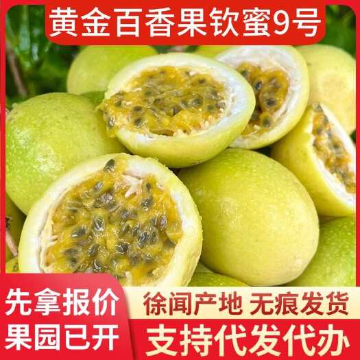 徐闻县钦蜜 9 号黄金百香果大量 20 斤代发速达