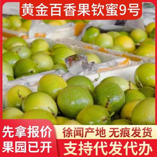 徐闻县湛江徐闻钦蜜 9 号果物流代发产地供