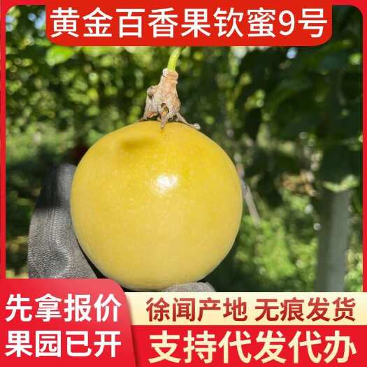 徐闻县黄金百香果 20 斤代办坏果包赔