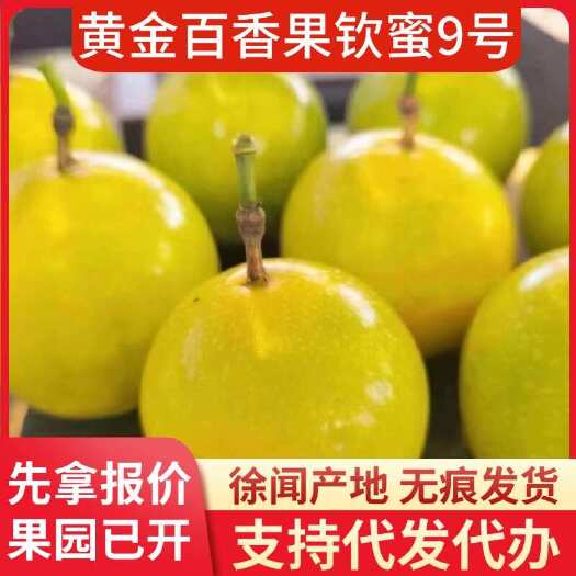 徐闻县湛江徐闻钦蜜 9 号百香果快递专线代发