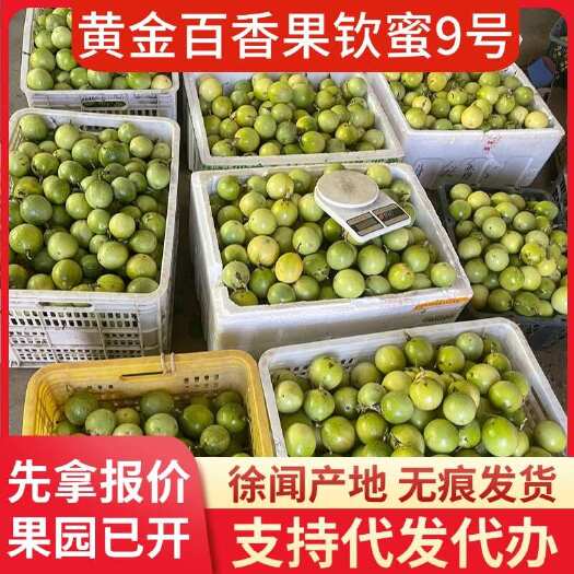 徐闻县钦蜜 9 号黄金百香果 20 斤产地代办直发