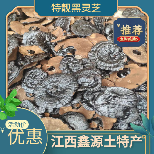 黑灵芝短腿精品大中小朵加工黑灵芝，健康优质，质量保证