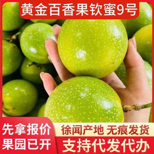 徐闻县广东批发代发钦蜜 9 号黄金百香果 5 斤起