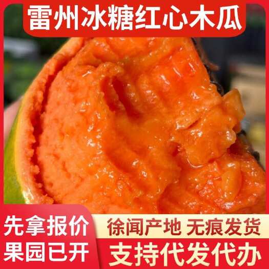 徐闻县湛江雷州冰糖红心木瓜 8 斤代发物流直供