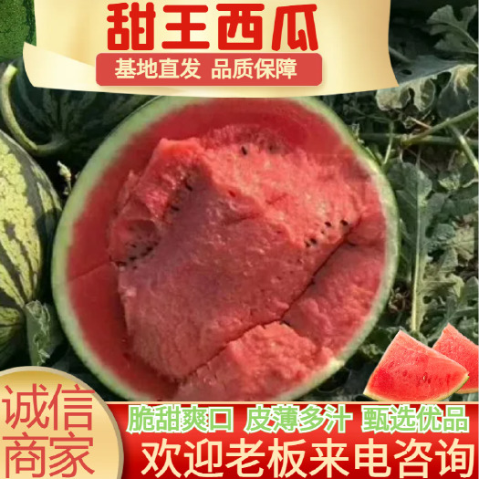 新民市精选臻品西瓜甜王西瓜有籽新鲜水果辽宁沈阳新民市直发