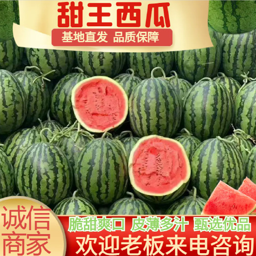 新民市精选臻品西瓜甜王西瓜有籽有籽 新民市发货 辽宁沈阳特色水果