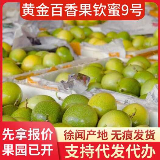 徐闻县徐闻钦蜜 9 号百香果产地直供专线代发