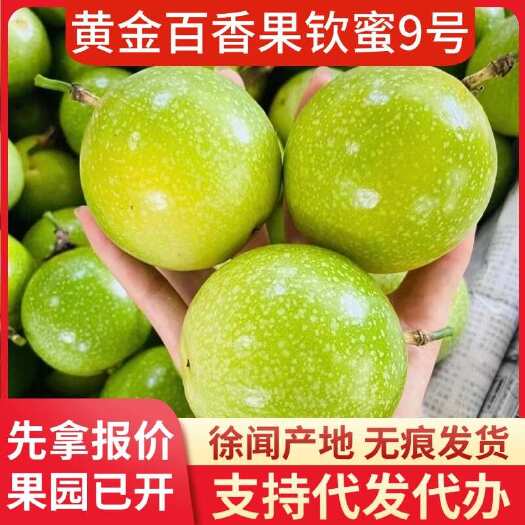 徐闻县广东产地钦蜜 9 号百香果 10 斤代发批发