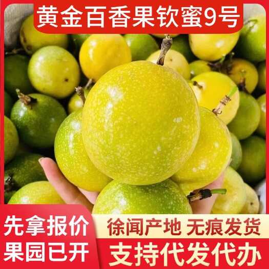 徐闻县广东钦蜜 9 号黄金百香果批发代发 1/3/5/8 斤装大中