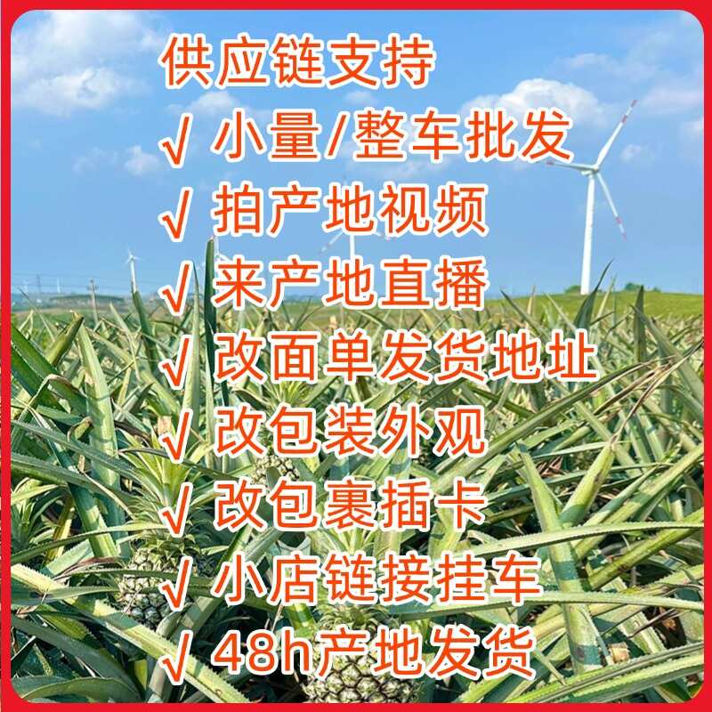广东徐闻香水菠萝批发代发 大中小果 3/5/8 斤 1 斤起