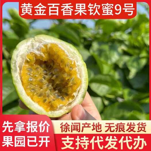徐闻县粤西百香果 10 斤代发源头直供