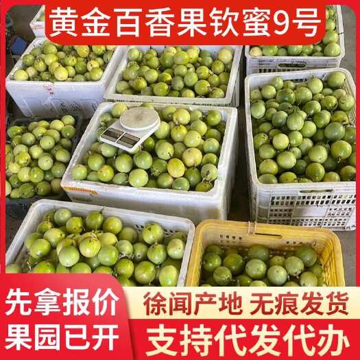 徐闻县广东钦蜜 9 号百香果小量 1 斤代发优选