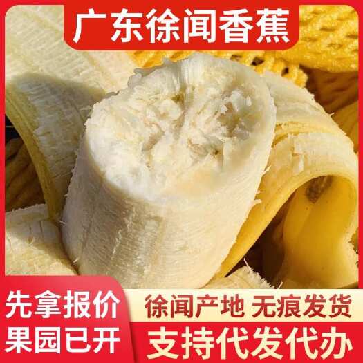 徐闻县徐闻县香蕉 5 斤产地直发快递代发