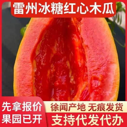 徐闻县湛江雷州市 8 斤冰糖红心木瓜快递代发直供