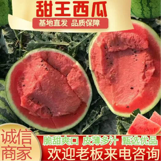 新民市精选当季脆甜西瓜甜王西瓜皮薄 有籽水果批发电商整车