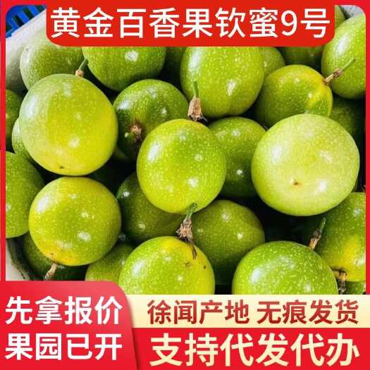 徐闻县新鲜百香果 5 斤起一件代发速运