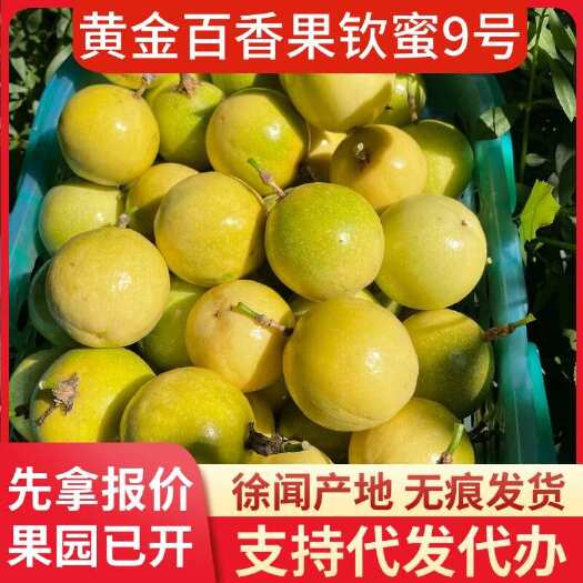 徐闻县广东小量 3 斤百香果代发当日达