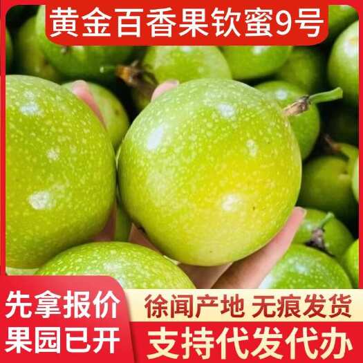 徐闻县批发代办 2 斤装钦蜜 9 号黄金百香果