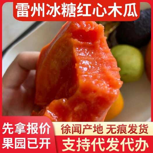 雷州市冰糖红心木瓜 15 斤批发专线代发新鲜直达