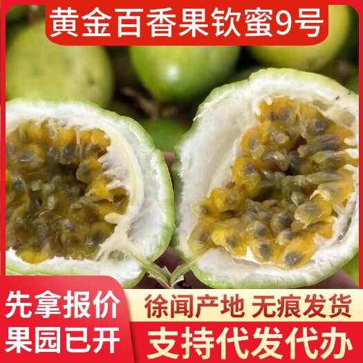 徐闻县广东百香果 1 斤起现摘现发代发