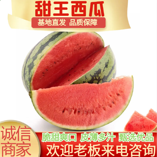 新民市精选新民甜王西瓜 薄皮西瓜有籽新鲜上市了量大从优欢迎来电洽谈