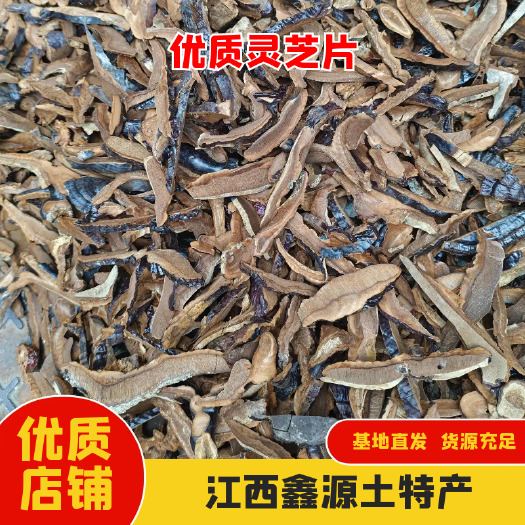 寻乌县灵芝片 江西紫灵芝手工切片 不苦紫灵芝煲汤泡酒味不苦