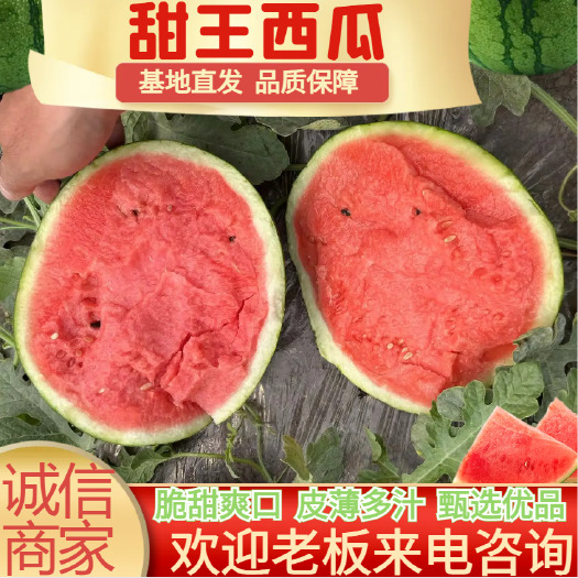 新民市甄选精品西瓜新民甜王西瓜 有籽皮薄新鲜采摘当季水果批发电商