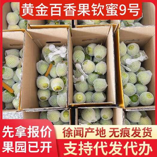徐闻县徐闻钦蜜 9 号百香果产地直供快递代发
