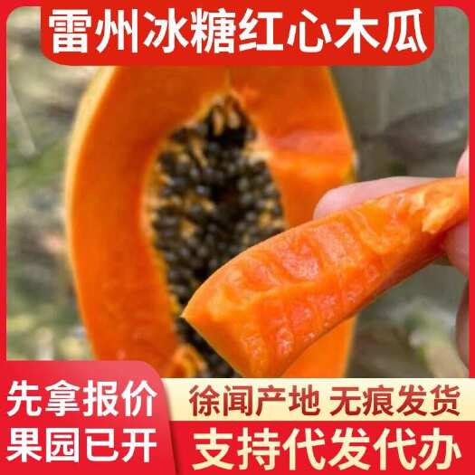 徐闻县雷州新鲜冰糖红心木瓜 3 斤顺丰代发产地直发