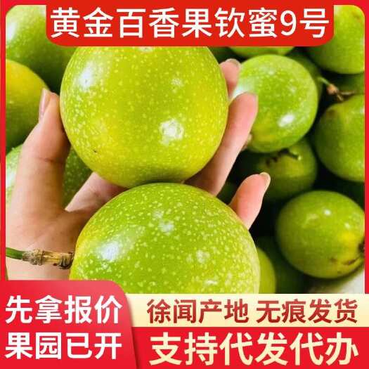 徐闻县钦蜜 9 号黄金百香果大量 20 斤代办批发