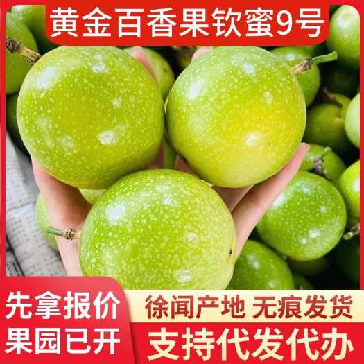 徐闻县钦蜜 9 号黄金百香果 1-8 斤大中小果广东产地批发代发