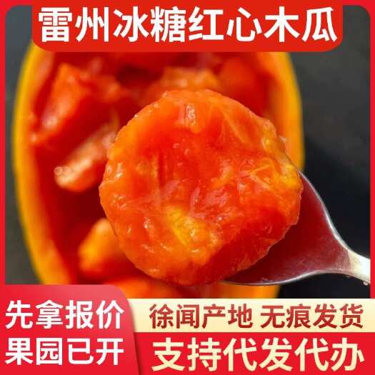 徐闻县广东雷州冰糖红心木瓜 2 斤产地直供快递代发