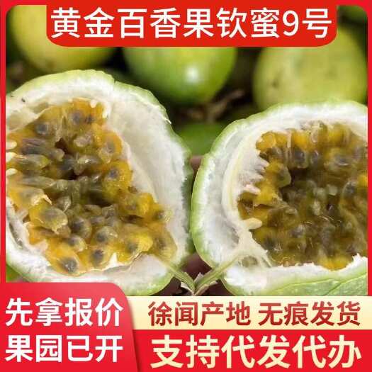 徐闻县广东钦蜜 9 号百香果新鲜 5 斤代发批发