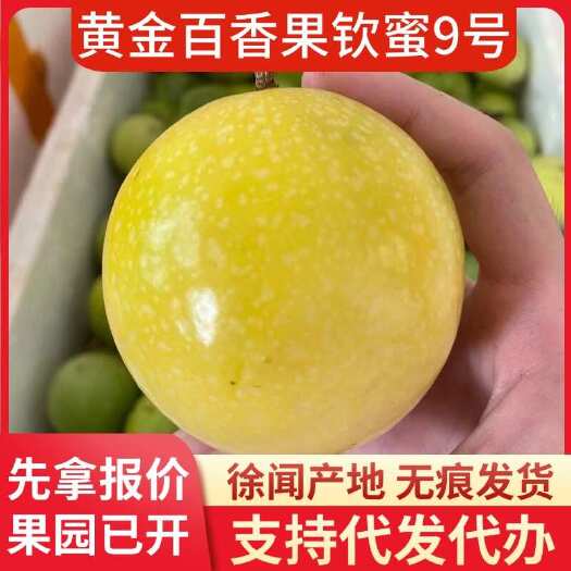 徐闻县新鲜钦蜜 9 号黄金百香果小量 3 斤代发