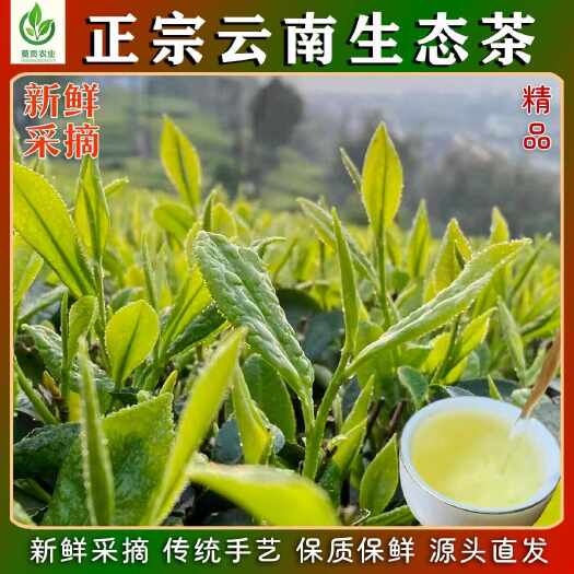 腾冲市正宗云南精品绿茶三芽精选500g新茶茶叶散装茶无农残