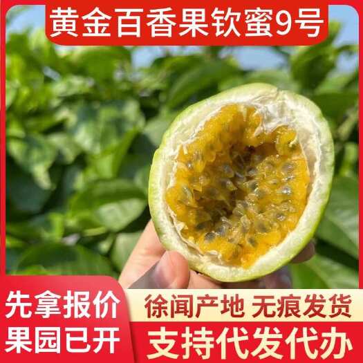 徐闻县代办 2 斤装粤产黄金果顺丰包邮