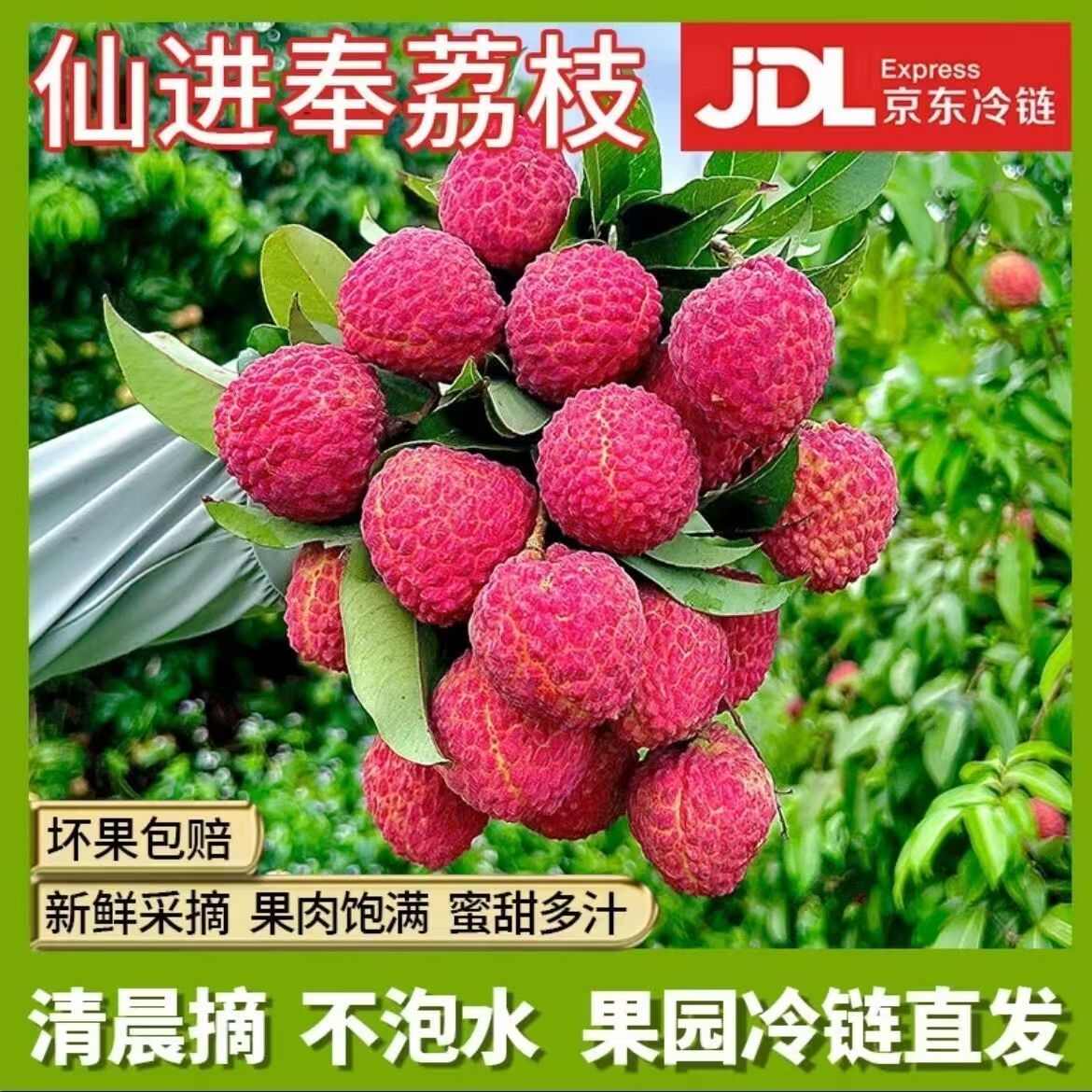 广东省罗浮山仙进奉荔枝航空冷链果园直发