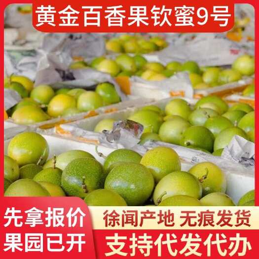 徐闻县徐闻钦蜜 9 号百香果专线代发产地供
