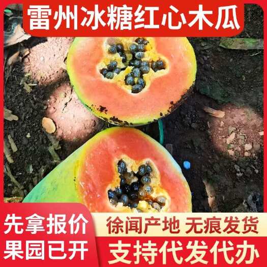 徐闻县广东雷州冰糖红心木瓜 5 斤现摘直发顺丰代发批发价