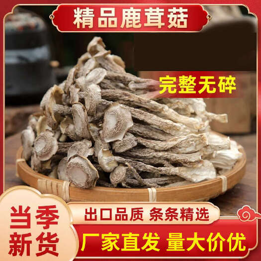 古田县干货鹿茸脆脆菇袋装火锅底料菌菇家用煲汤爆炒煮
