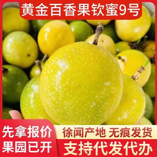 徐闻县钦蜜 9 号黄金百香果批发代发 1-8 斤大中小果广东产地直