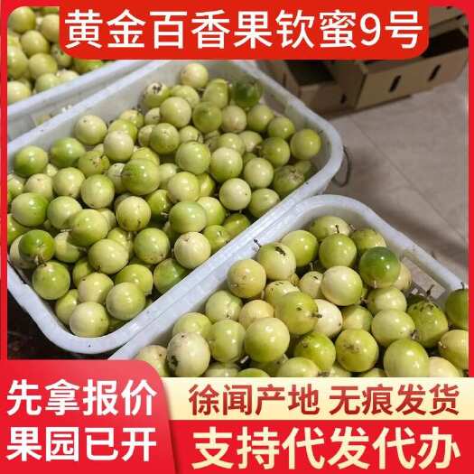 徐闻县钦蜜 9 号黄金百香果产地代发 10 斤批发